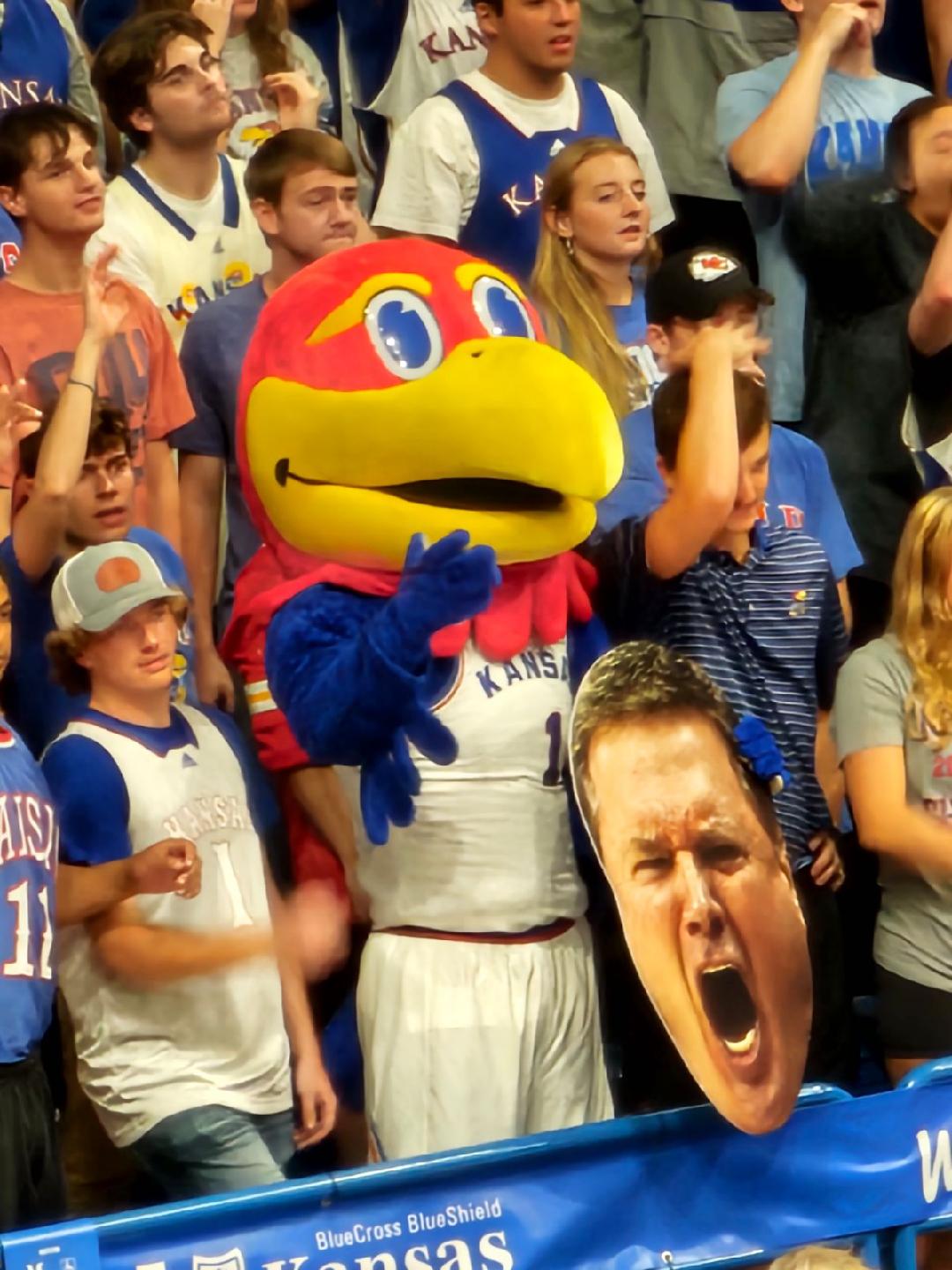 Chaos in the Court:  NCAA Wins a Stay